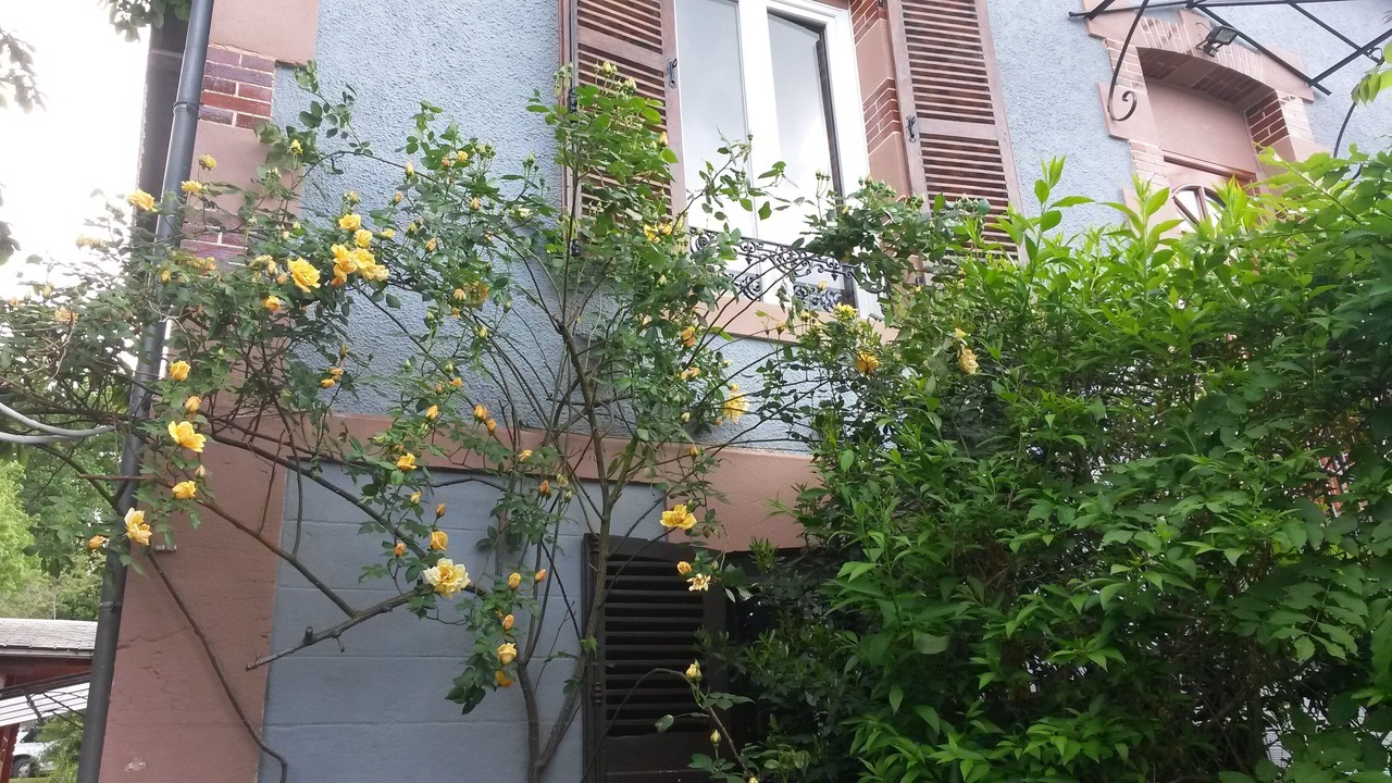Photo of Outdoor in Saint-Honore-les-Bains