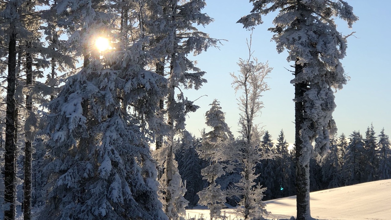 Photo of Outdoor in Gerardmer