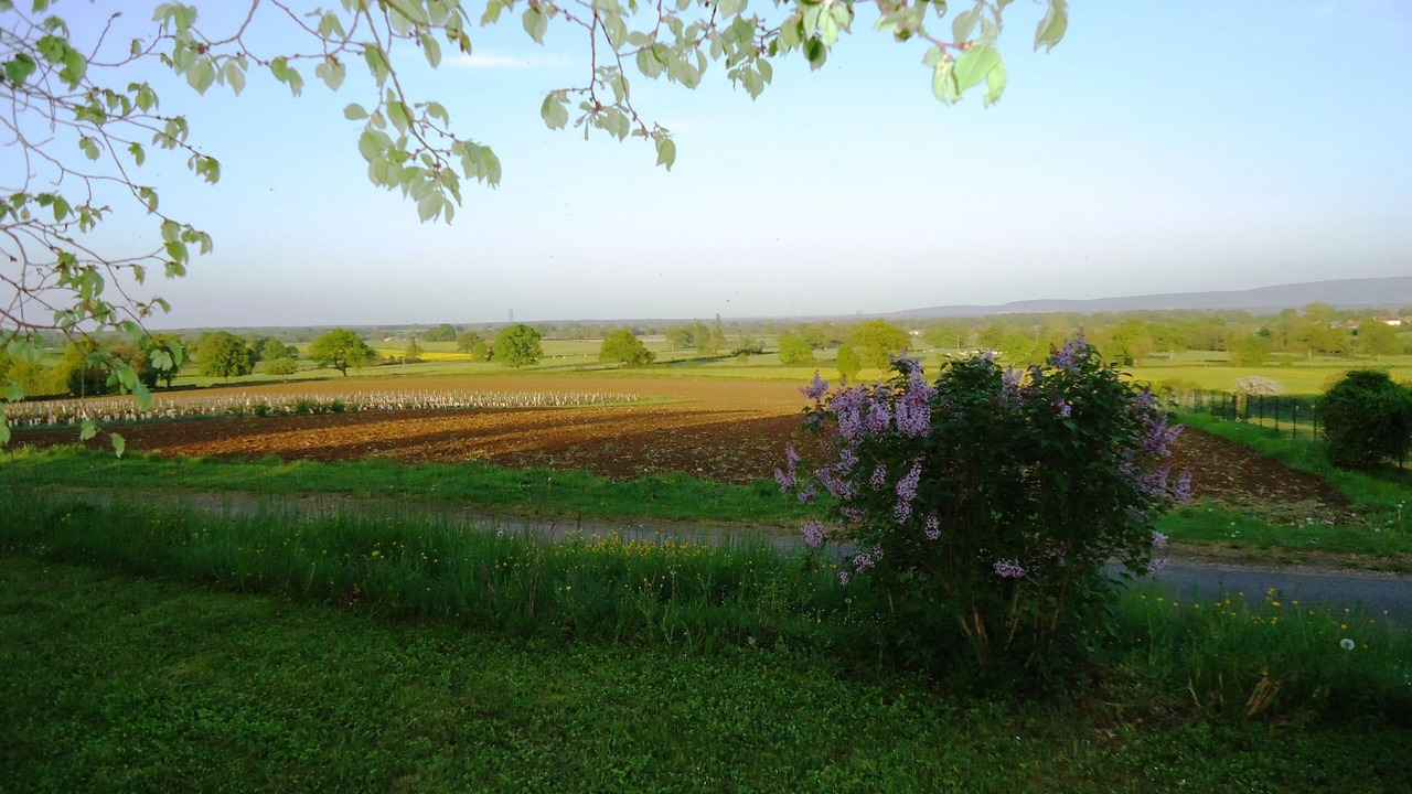 Photo of Outdoor in Saint-Boil