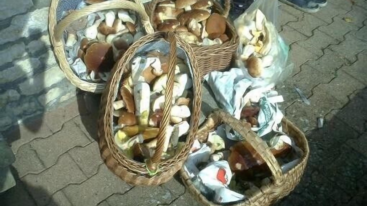 Photo of Others in Saint-Boil