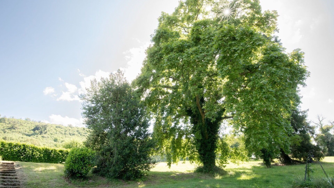 Photo of Outdoor in La Tagniere