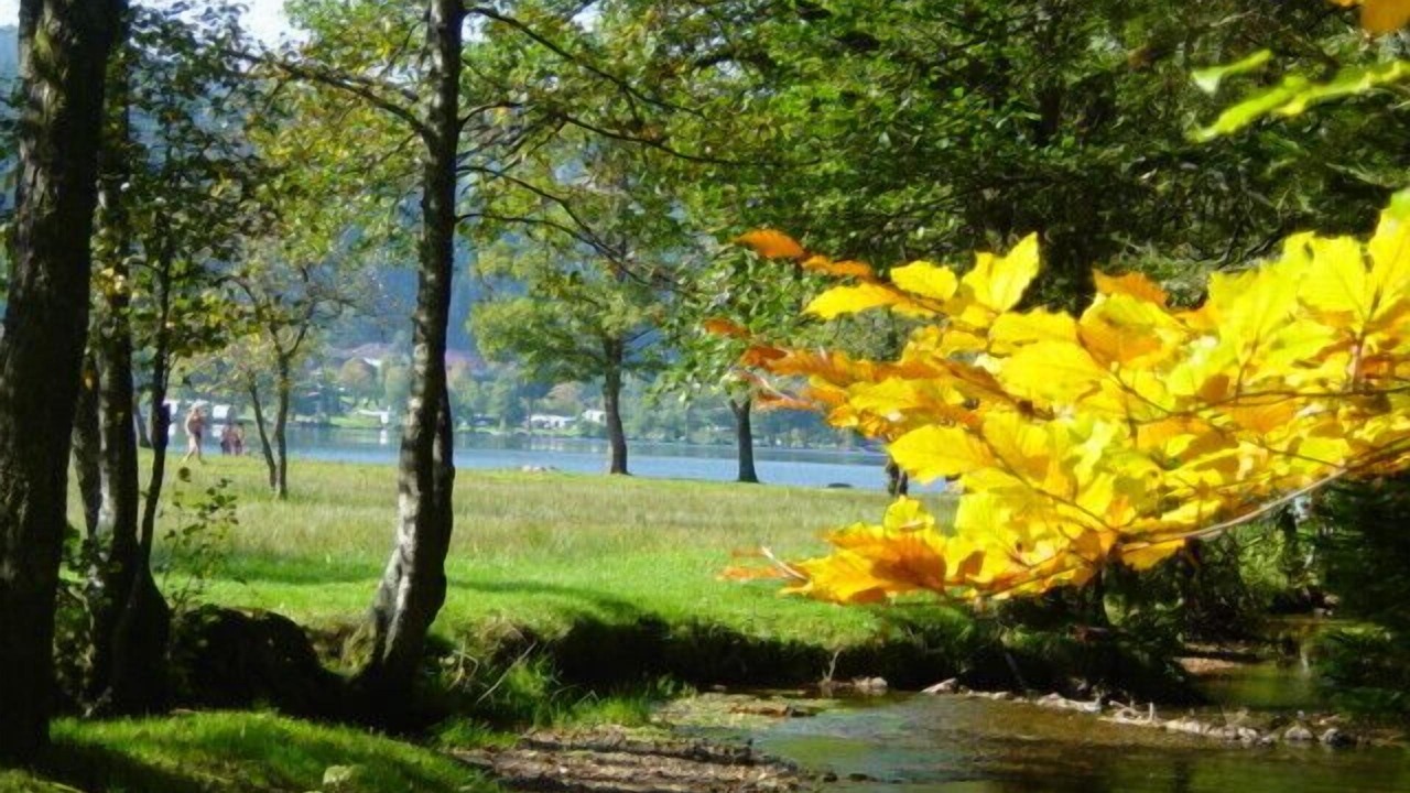 Photo of Outdoor in Xonrupt-Longemer