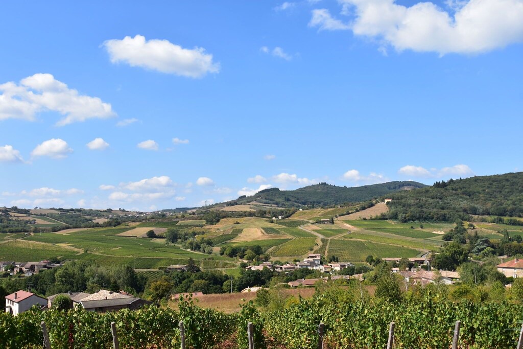 Photo of Outdoor in Cuzy