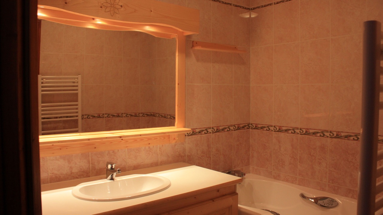 Photo of Bathroom in Bonneval-sur-Arc