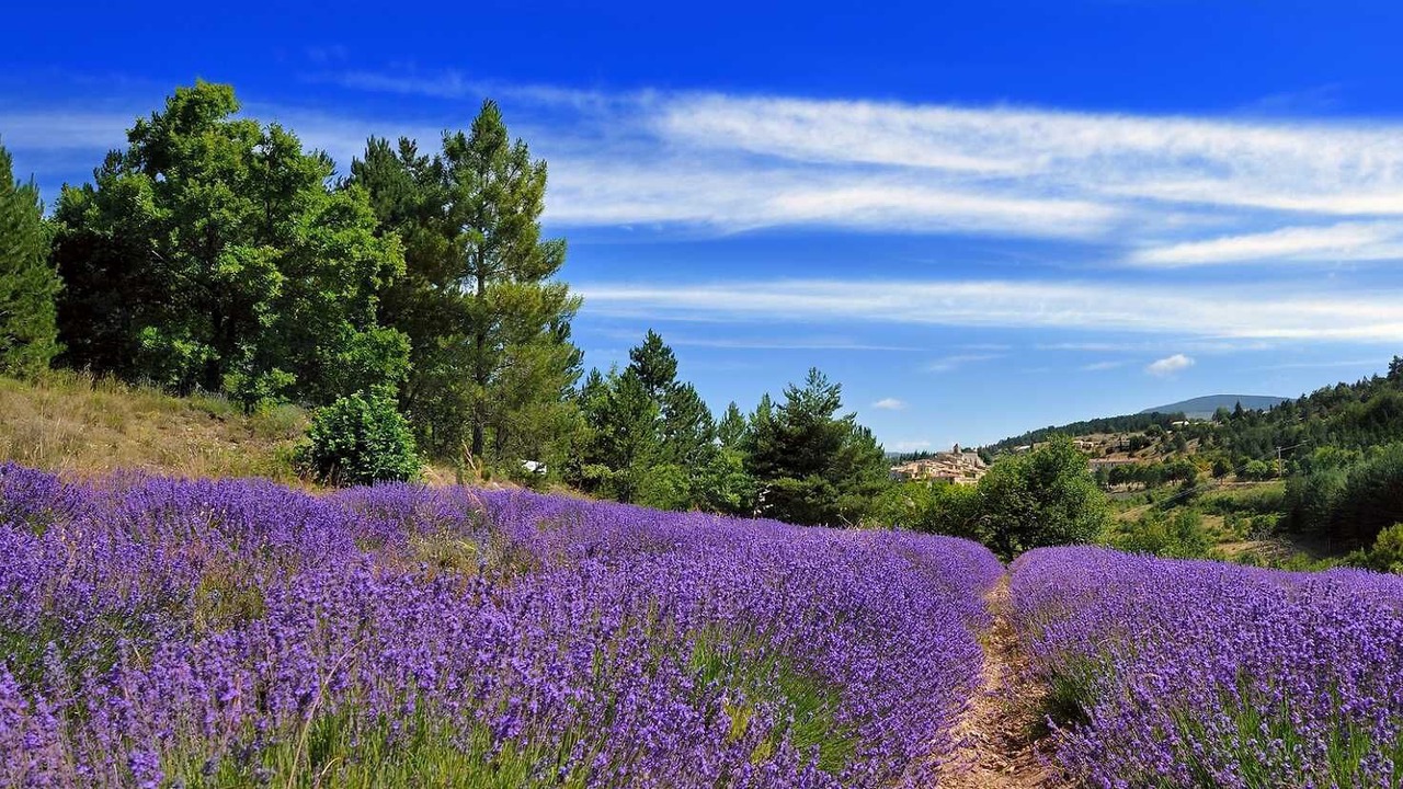 Photo of Outdoor in Chamaret