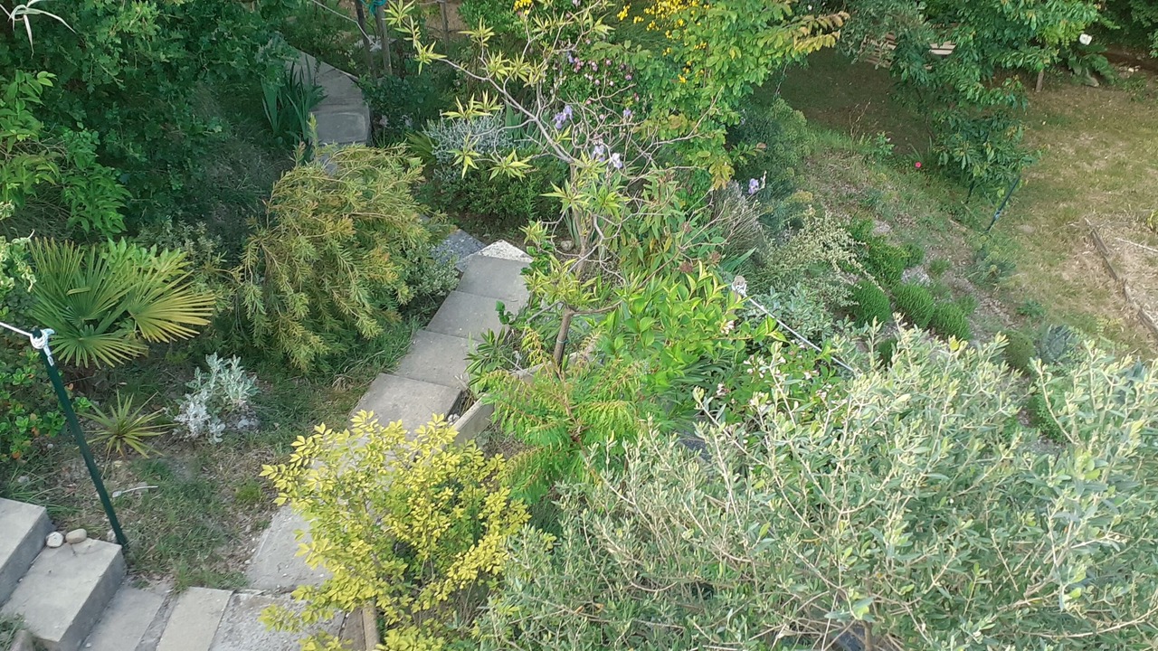 Photo of Outdoor in Lussas
