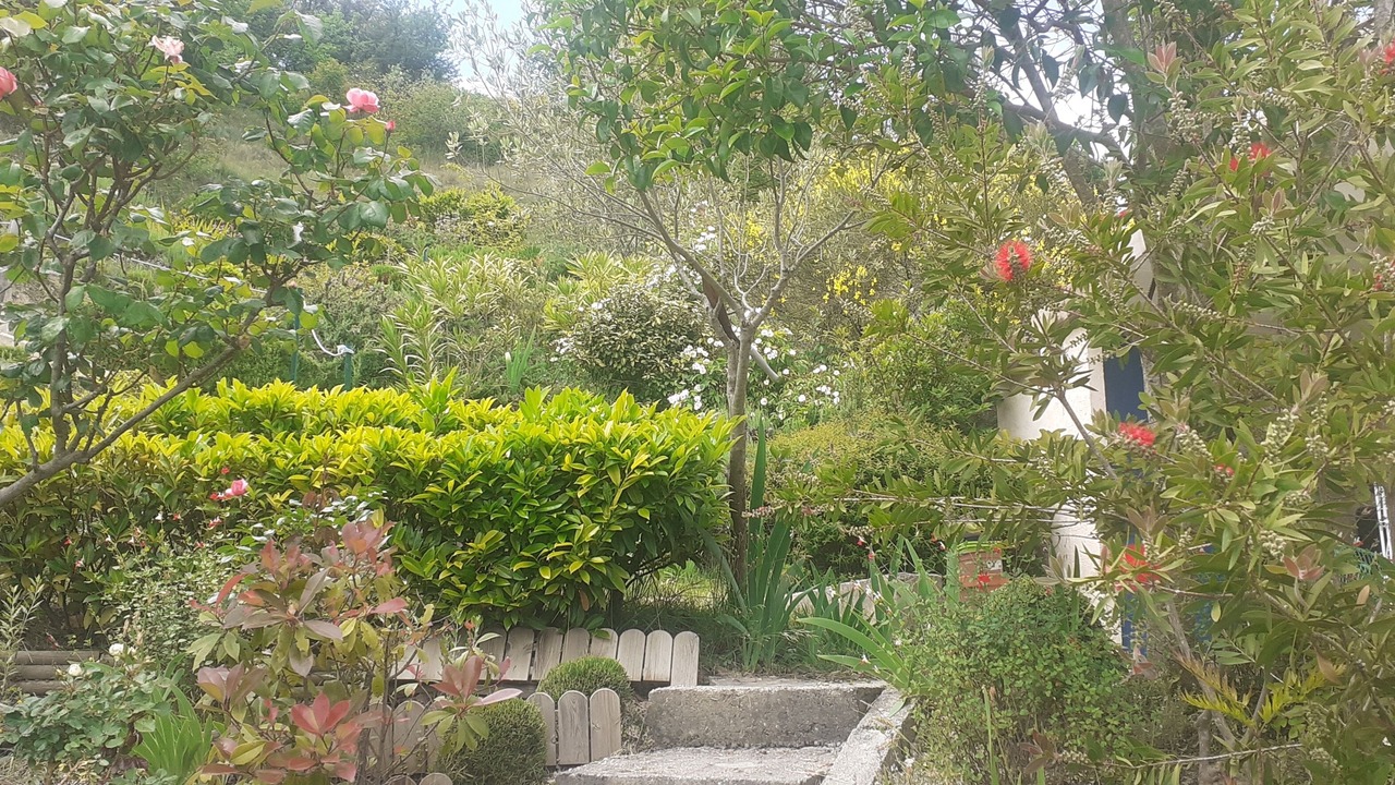 Photo of Outdoor in Lussas