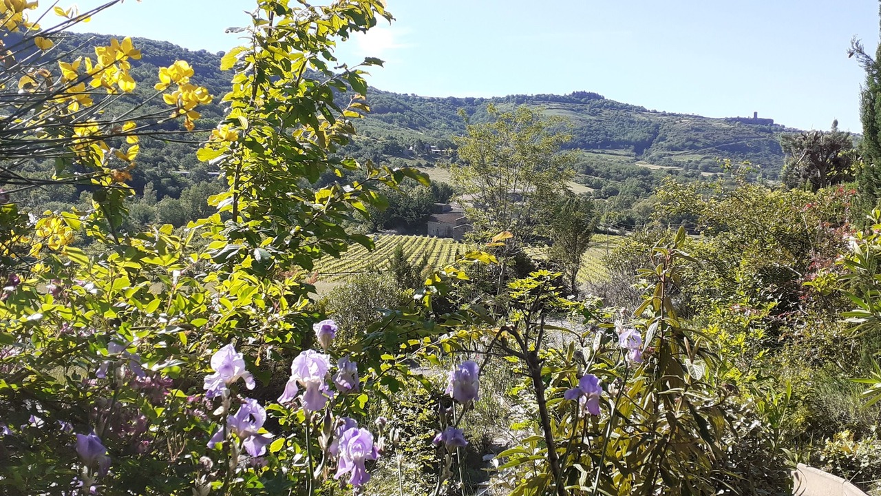 Photo of Others in Lussas