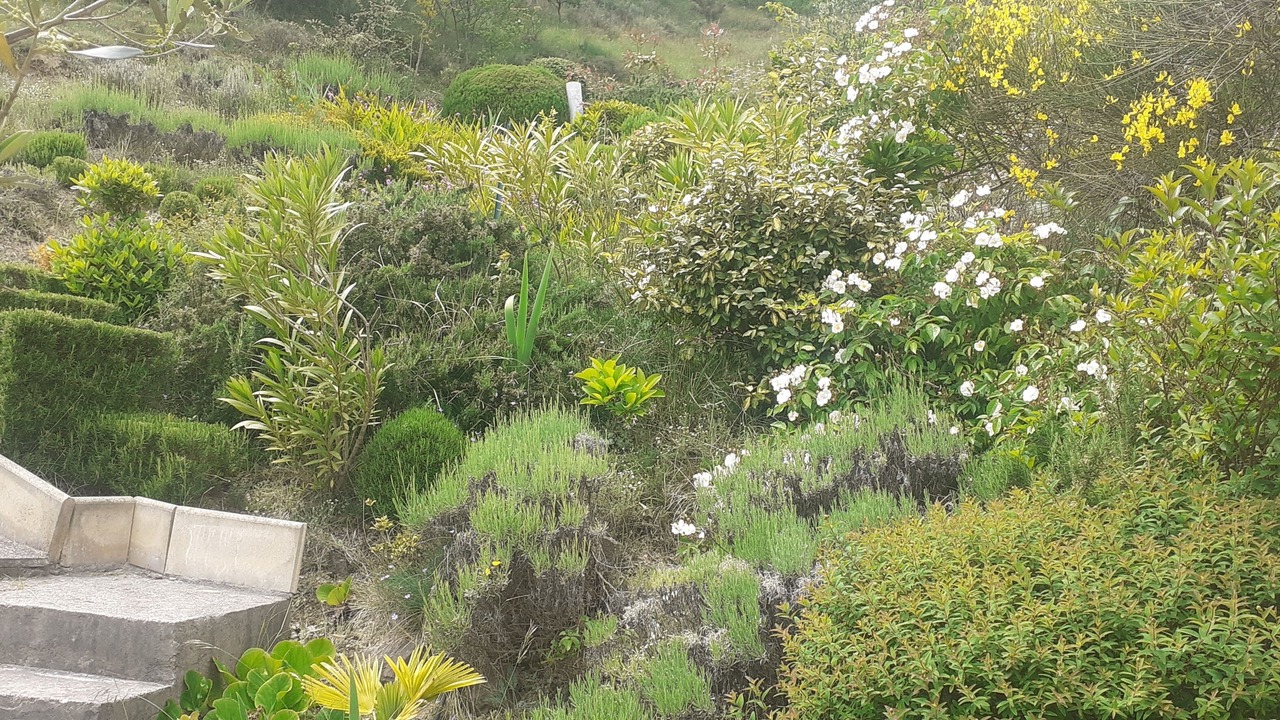 Photo of Outdoor in Lussas
