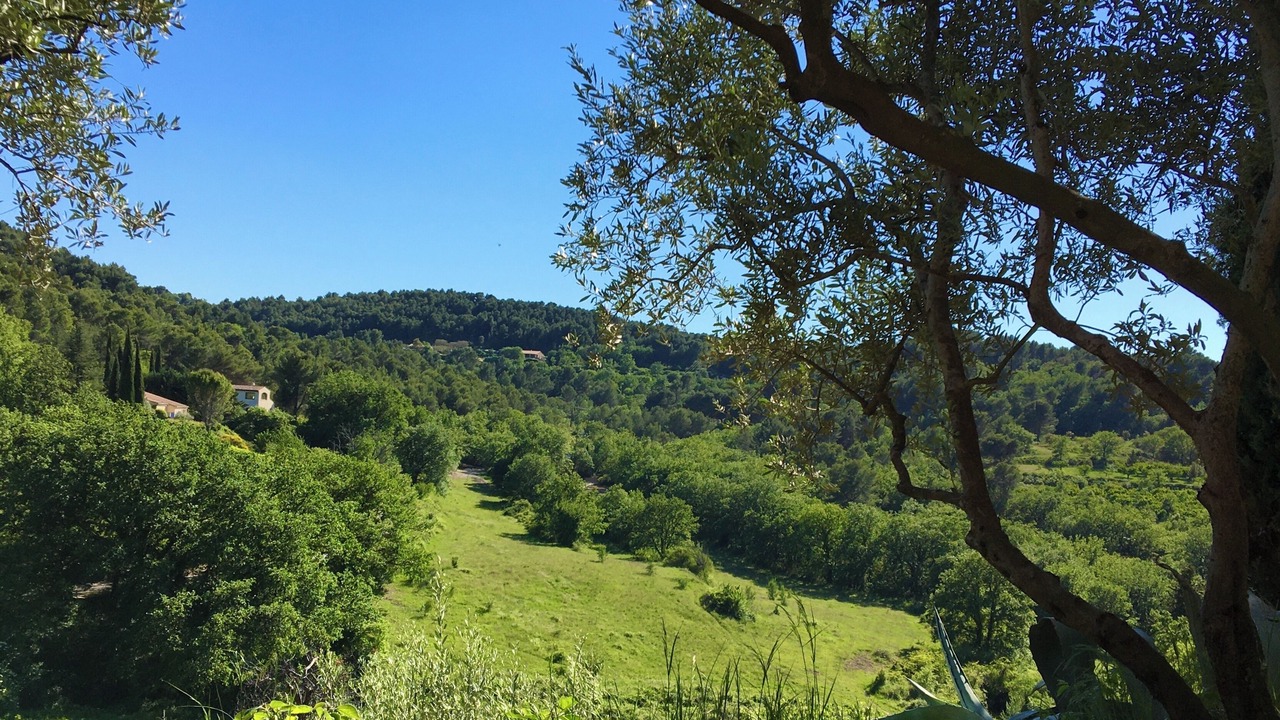 Photo of Others in La Roque-sur-Pernes