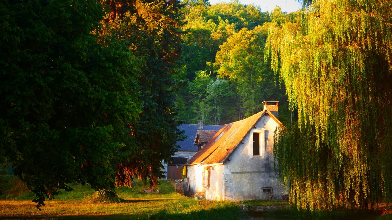Photo of Others in Druyes-les-Belles-Fontaines