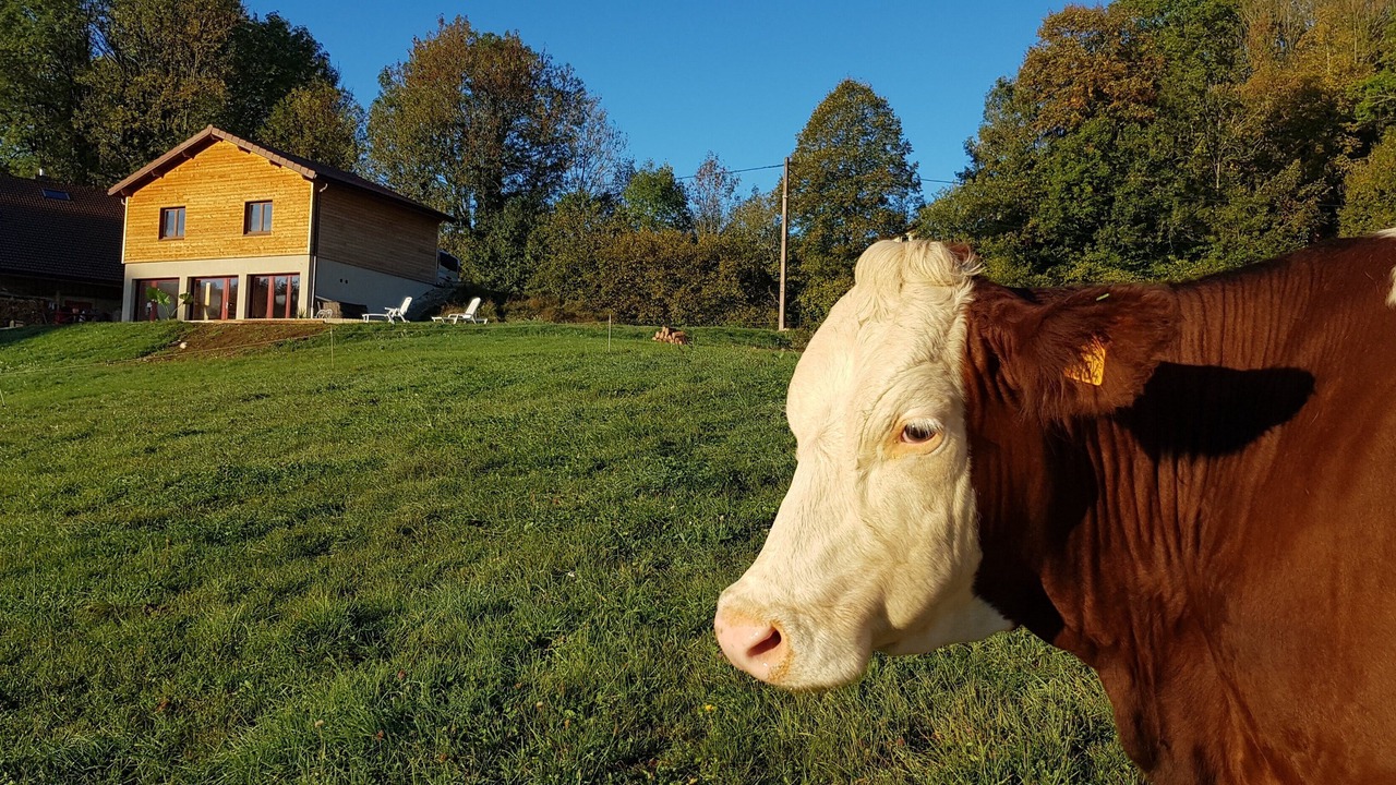 Photo of Outdoor in Chaux-des-Crotenay