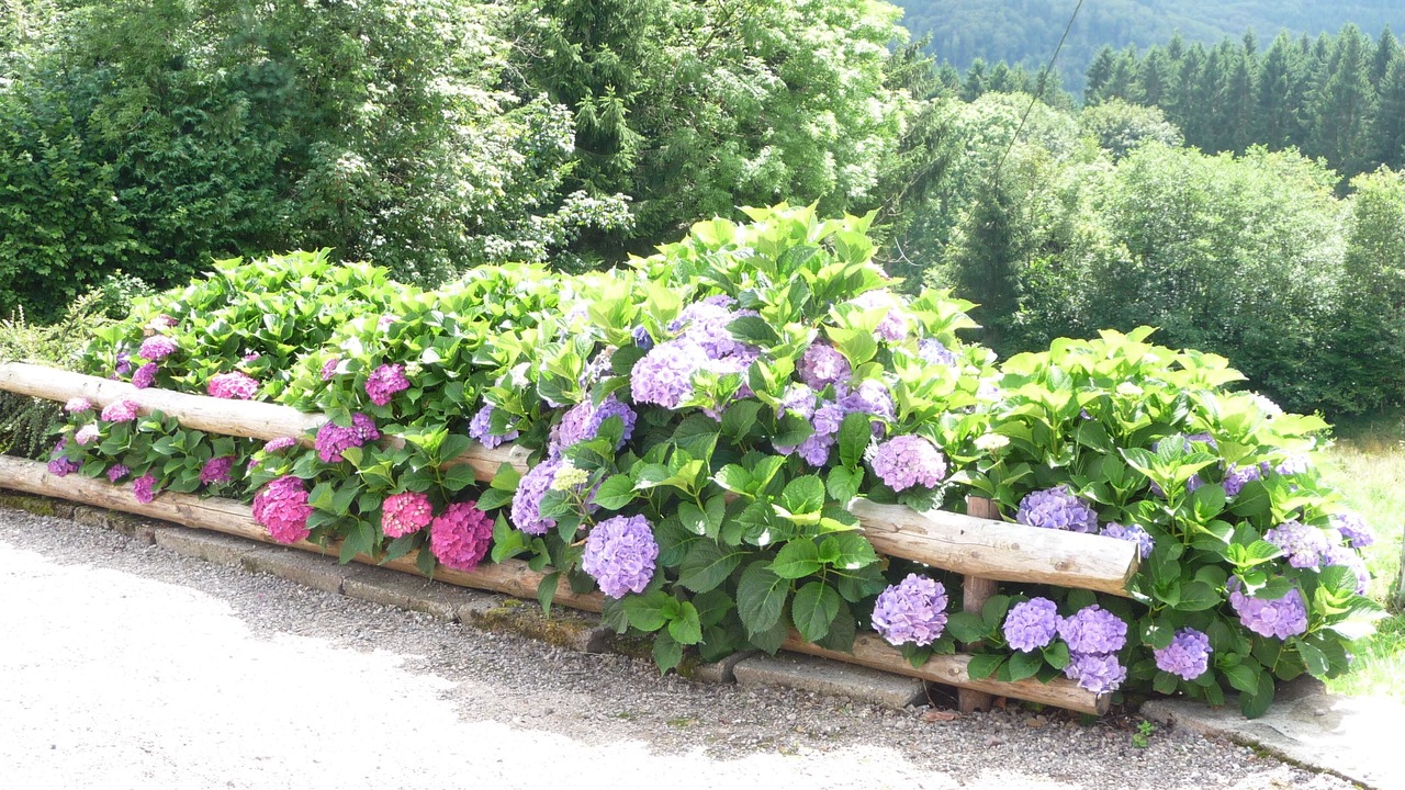 Photo of Outdoor in Francourt