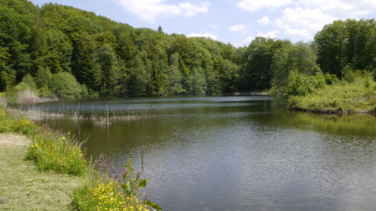 Photo of Outdoor in Francourt