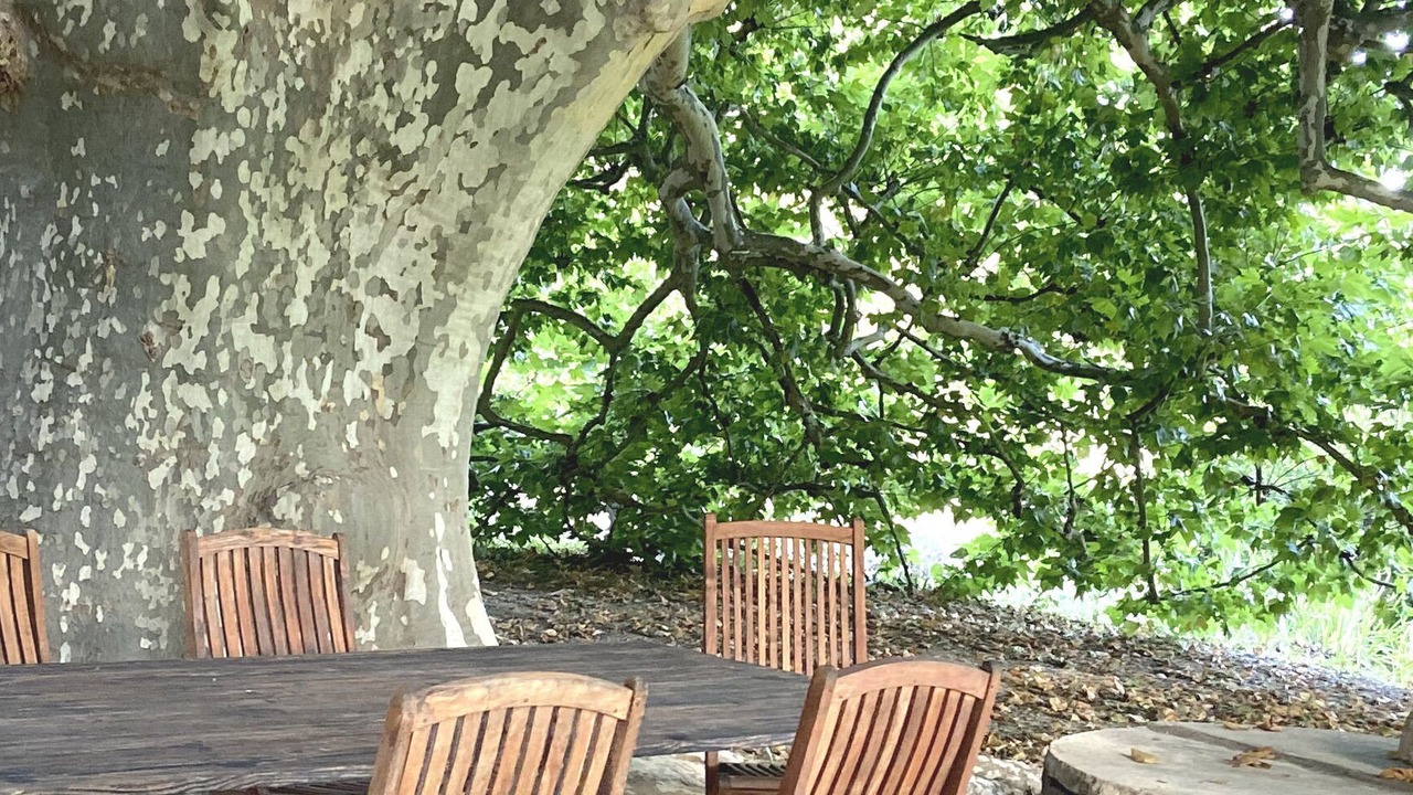 Photo of Outdoor in Sarrians