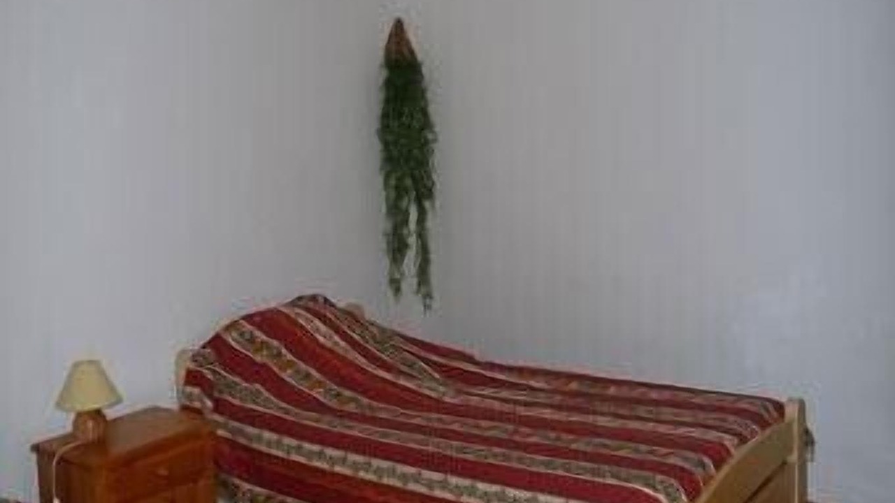 Photo of Bedroom in Rasteau