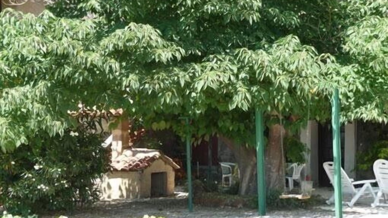 Photo of Patio Balcony in Rasteau
