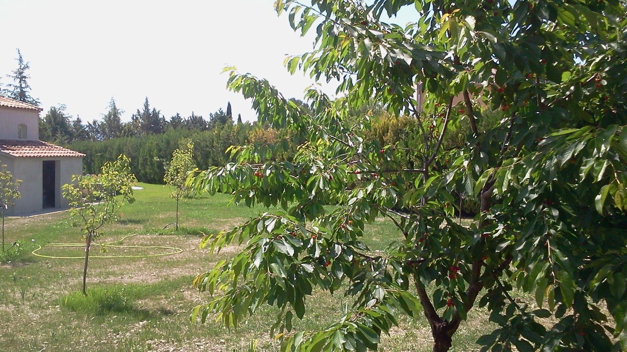 Photo of Others in Mormoiron