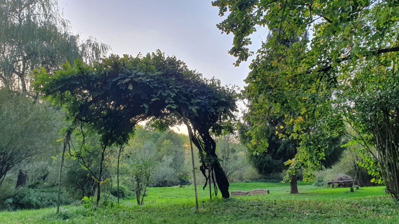 Photo of Outdoor in Vieilley