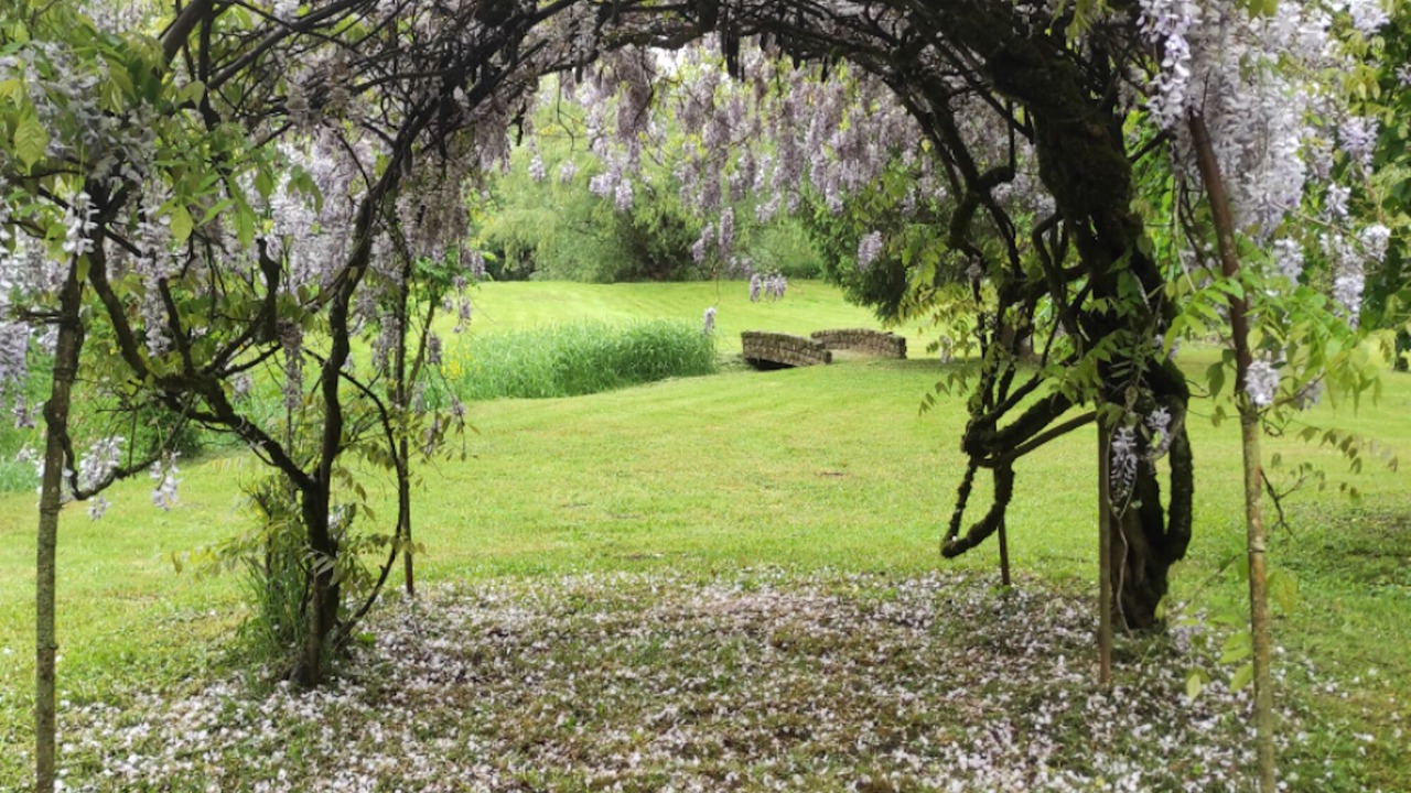 Photo of Outdoor in Vieilley