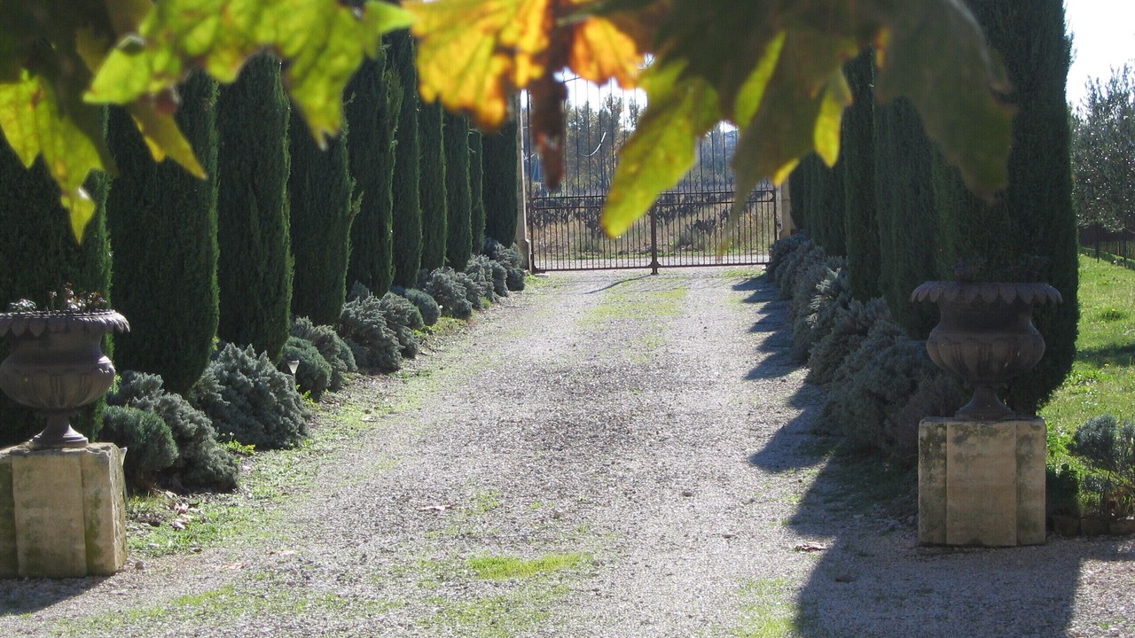 Photo of Outdoor in Tulette