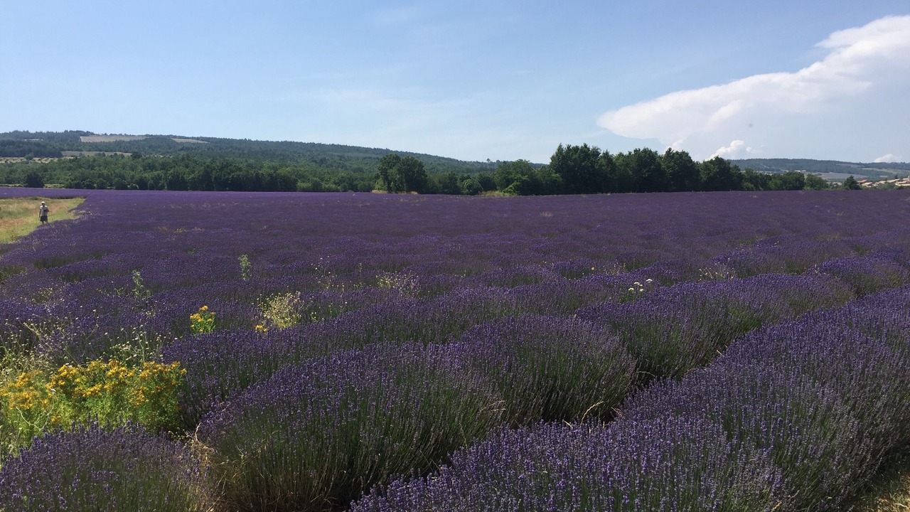 Photo of Outdoor in Malemort-du-Comtat