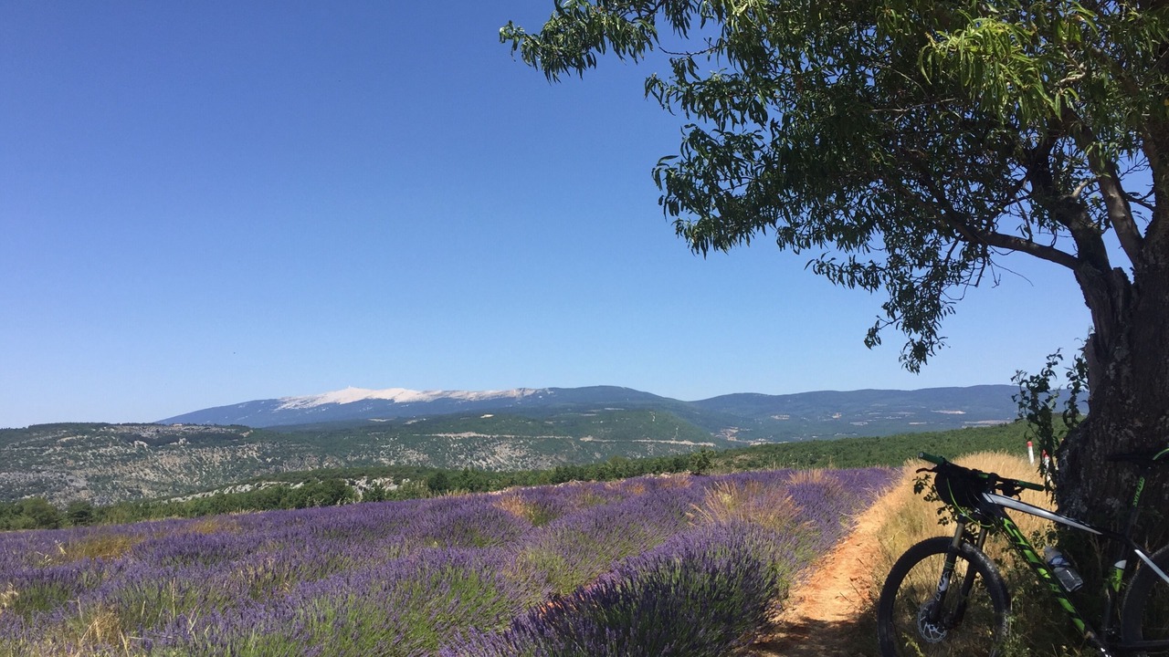 Photo of Others in Malemort-du-Comtat