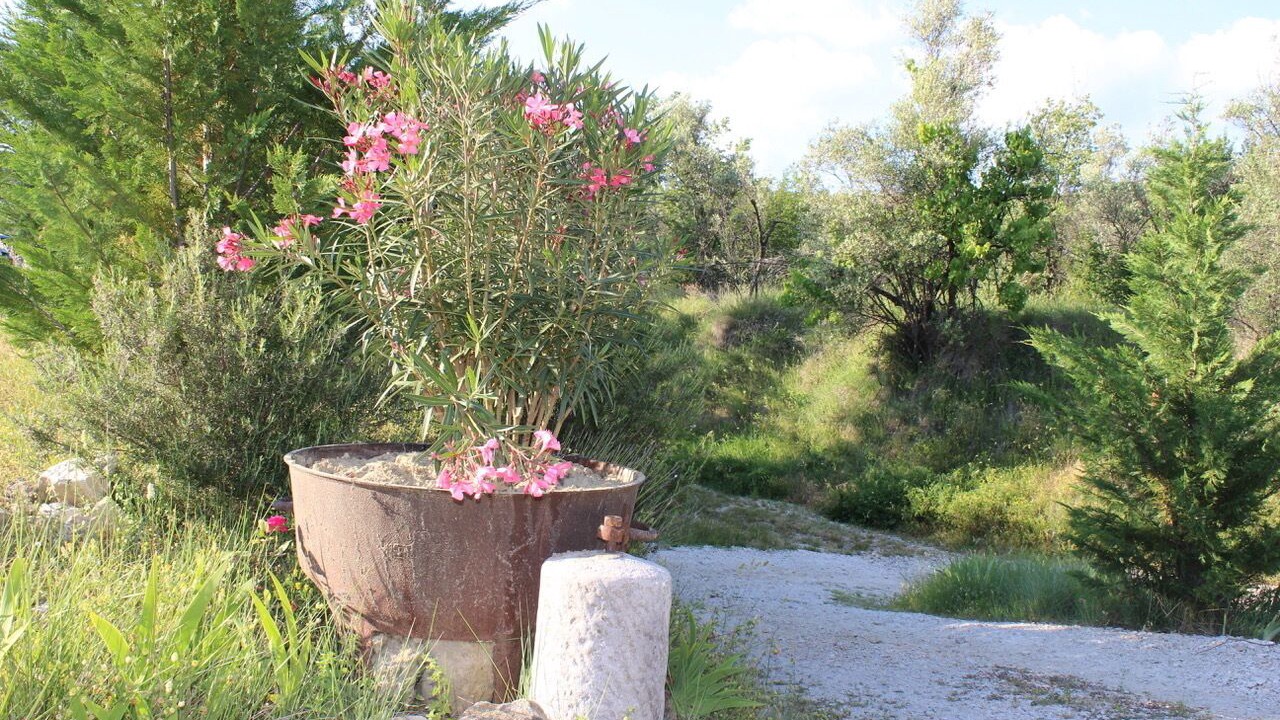 Photo of Outdoor in Mollans-sur-Ouveze