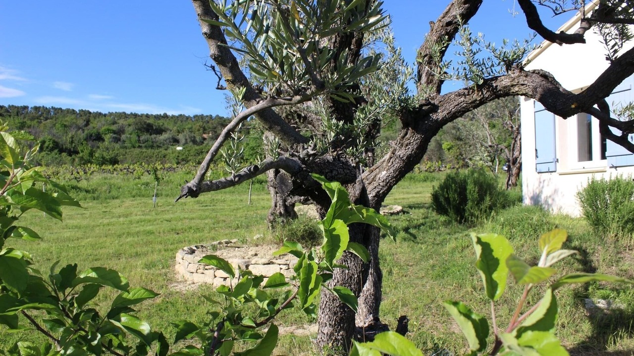 Photo of Outdoor in Mollans-sur-Ouveze