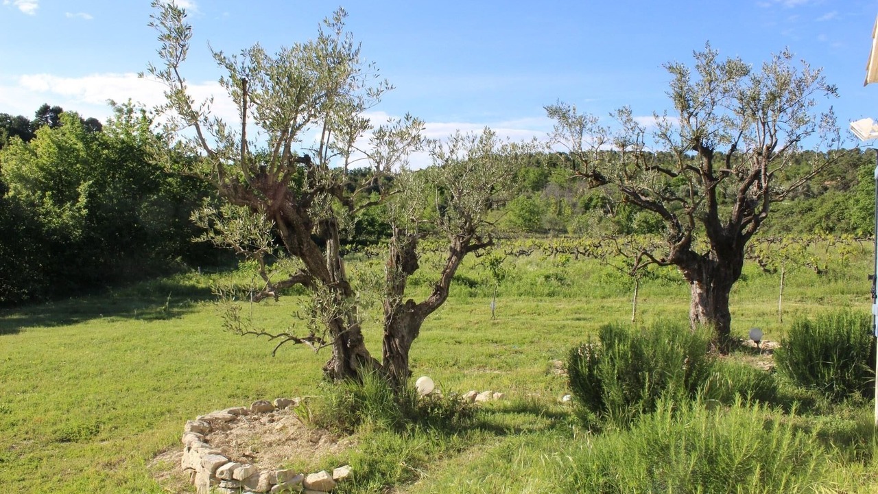 Photo of Outdoor in Mollans-sur-Ouveze