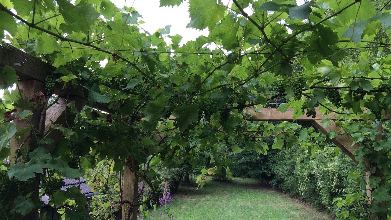 Photo of Outdoor in Montaron