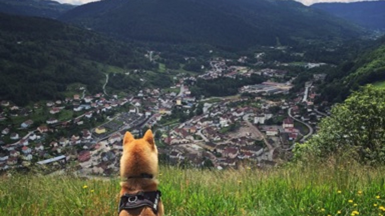 Photo of Others in Gerardmer