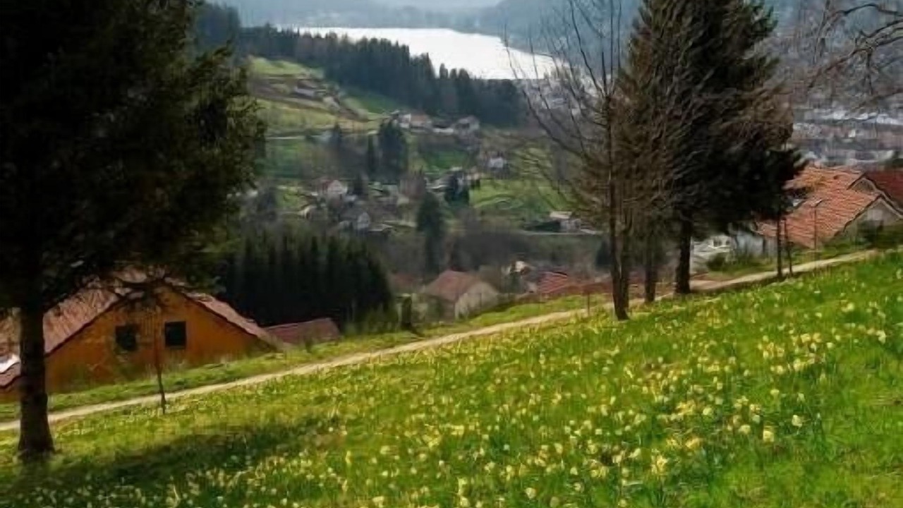 Photo of Outdoor in Gerardmer