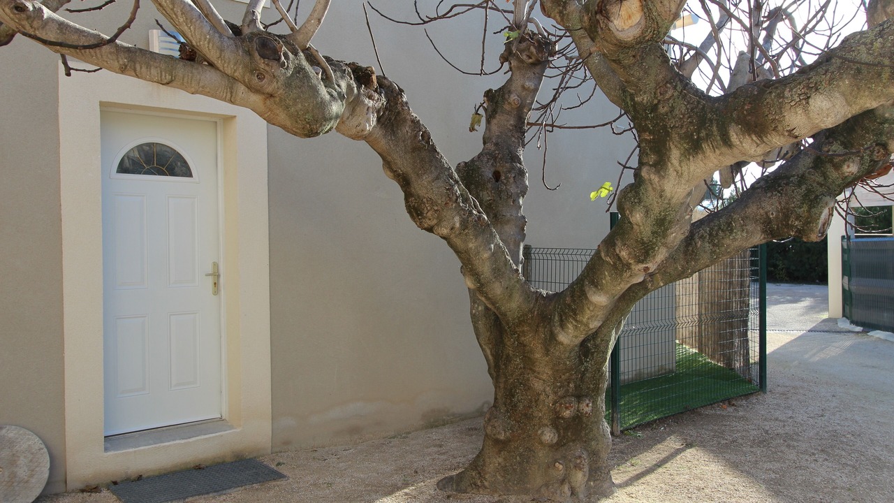 Photo of Outdoor in Beaumes-de-Venise