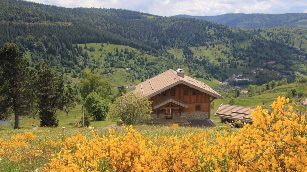 Photo of Outdoor in La Bresse
