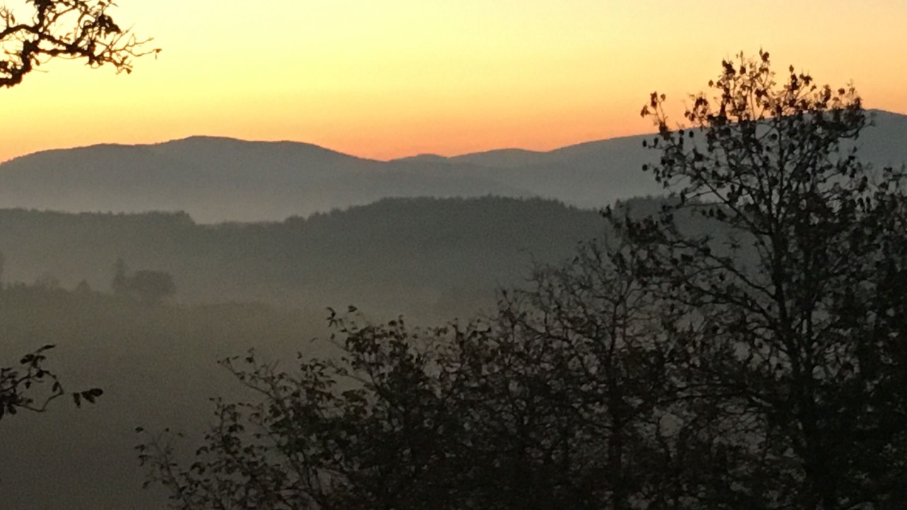 Photo of Others in Palladuc