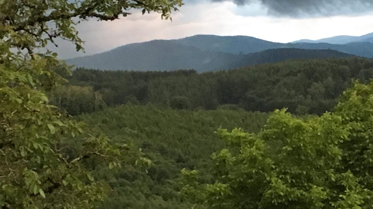 Photo of Others in Palladuc
