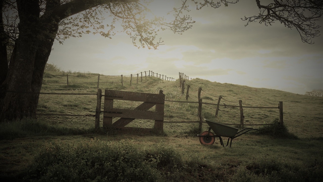 Photo of Outdoor in Brassy