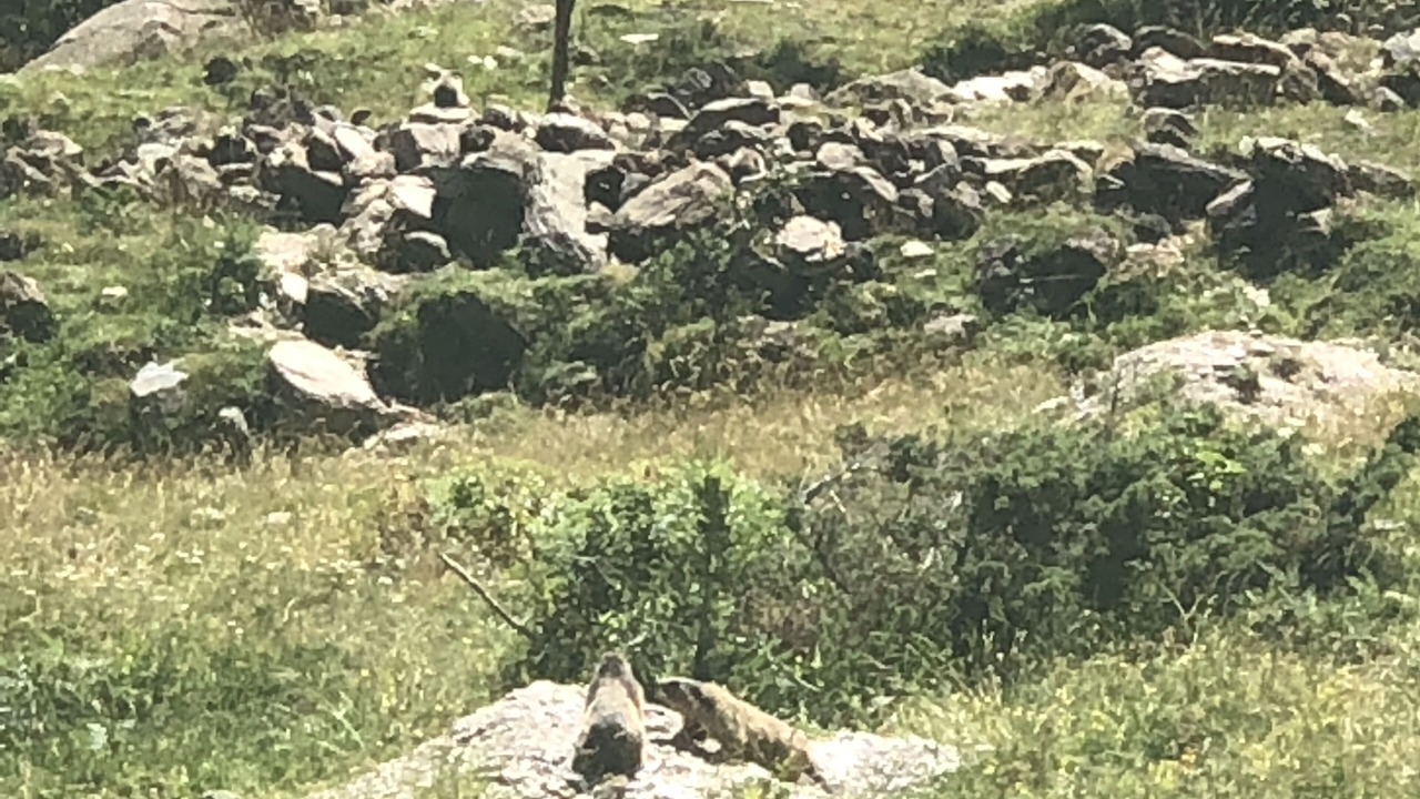 Photo of Outdoor in Ax-les-Thermes