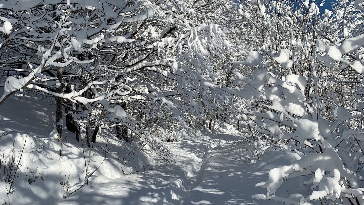 Photo of Others in Saint-Jacques-des-Blats