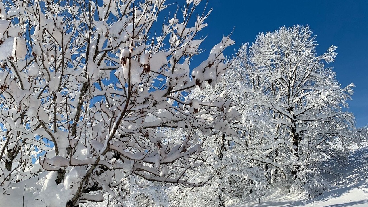 Photo of Outdoor in Saint-Jacques-des-Blats