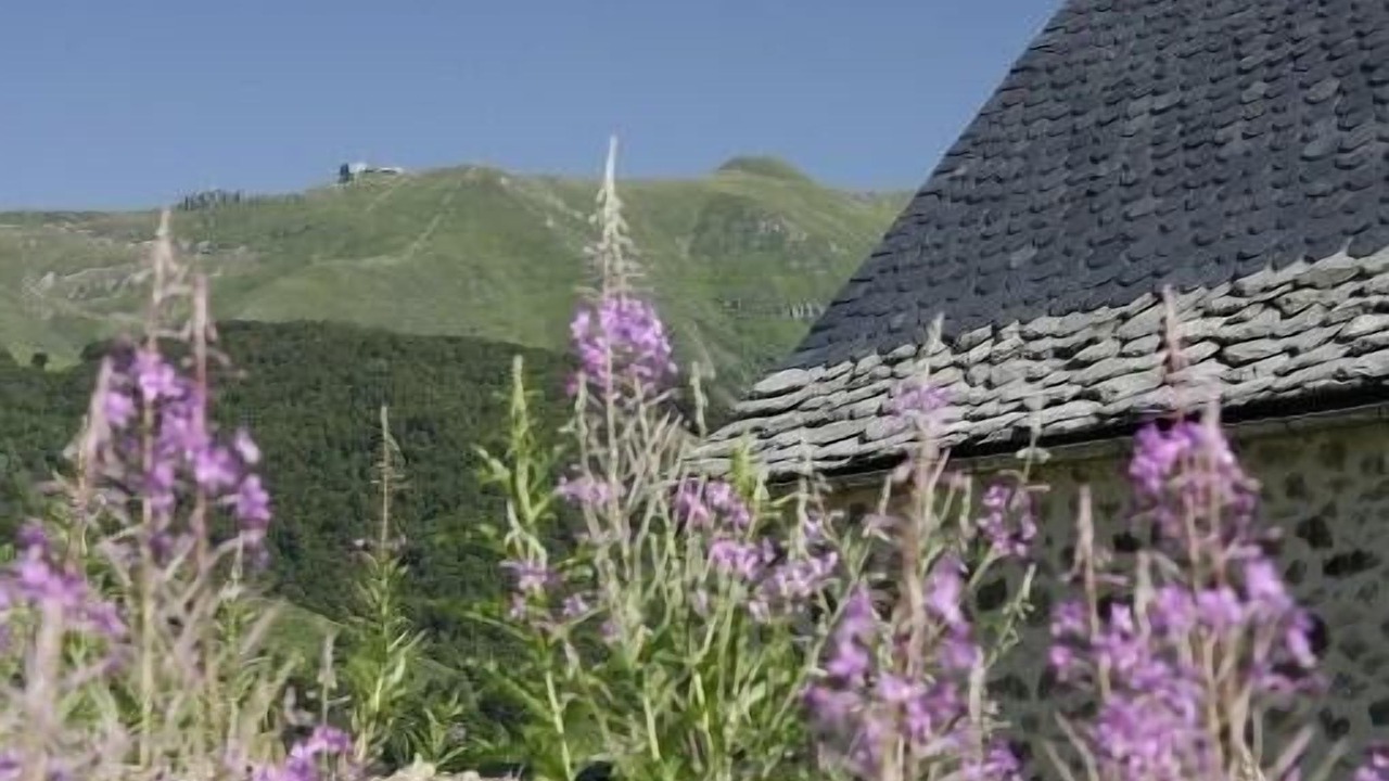 Photo of Outdoor in Saint-Jacques-des-Blats