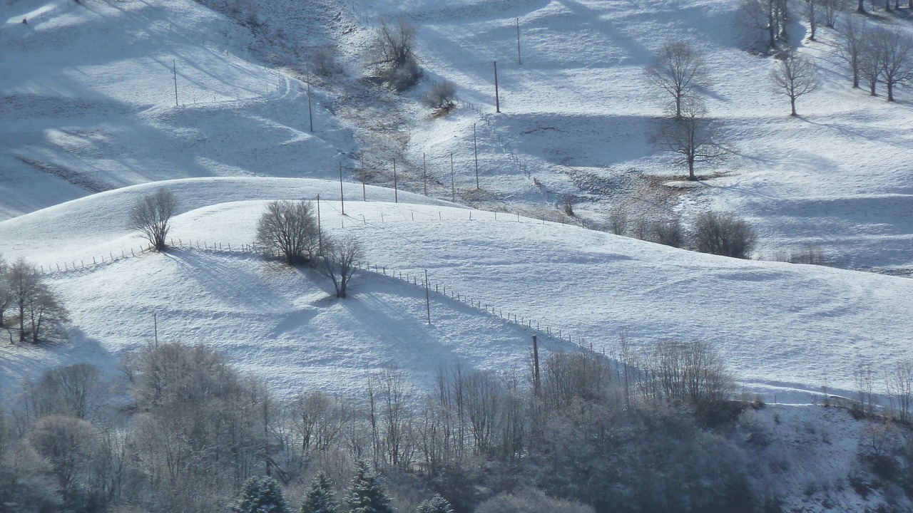 Photo of Others in Saint-Jacques-des-Blats