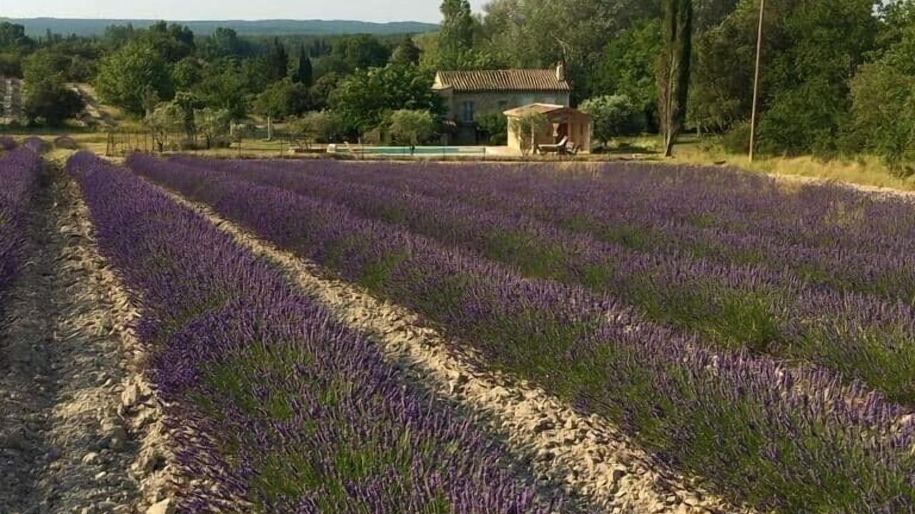 Photo of Outdoor in Grignan
