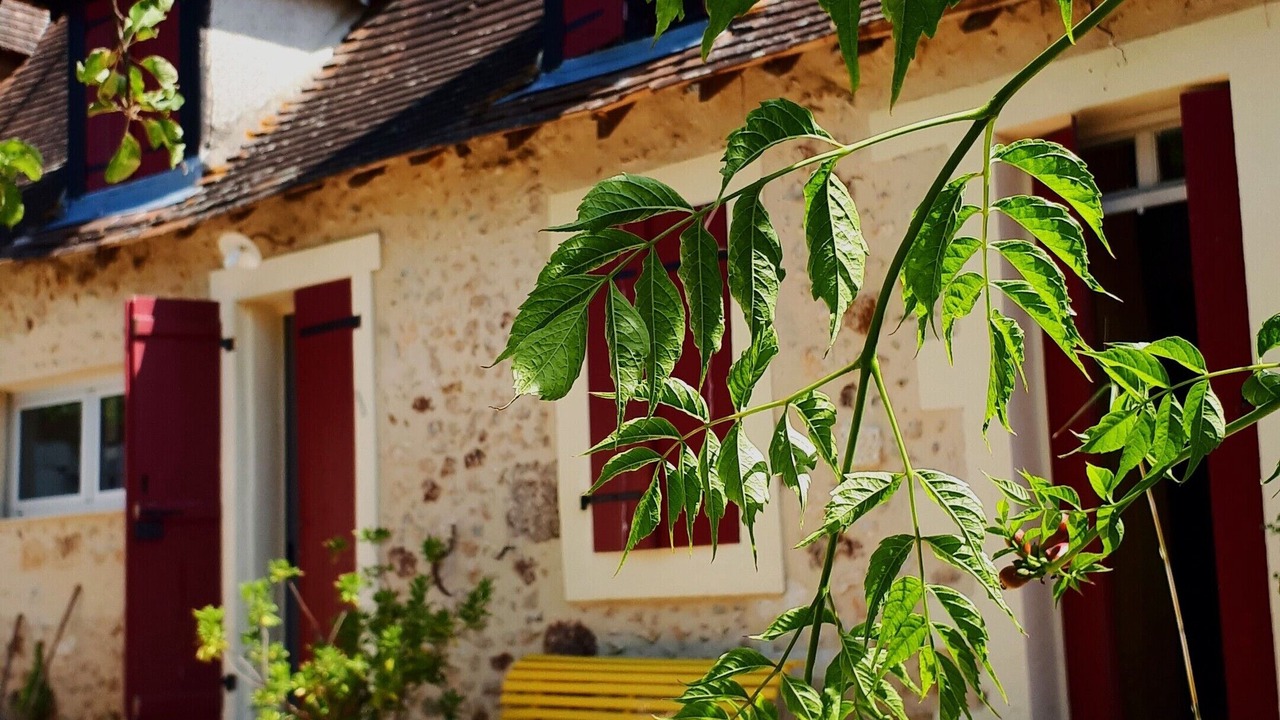 Photo of Outdoor in Rouffignac-Saint-Cernin-de-Reilhac