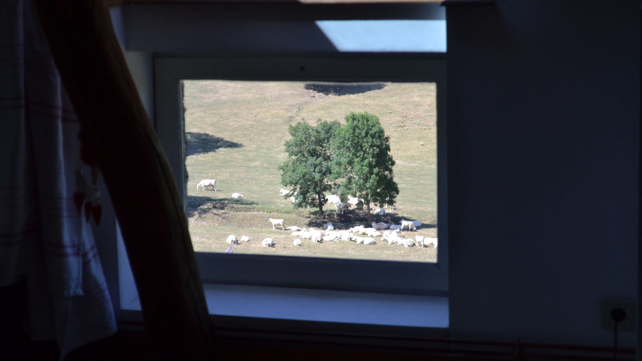 Photo of Others in Saint-Ythaire