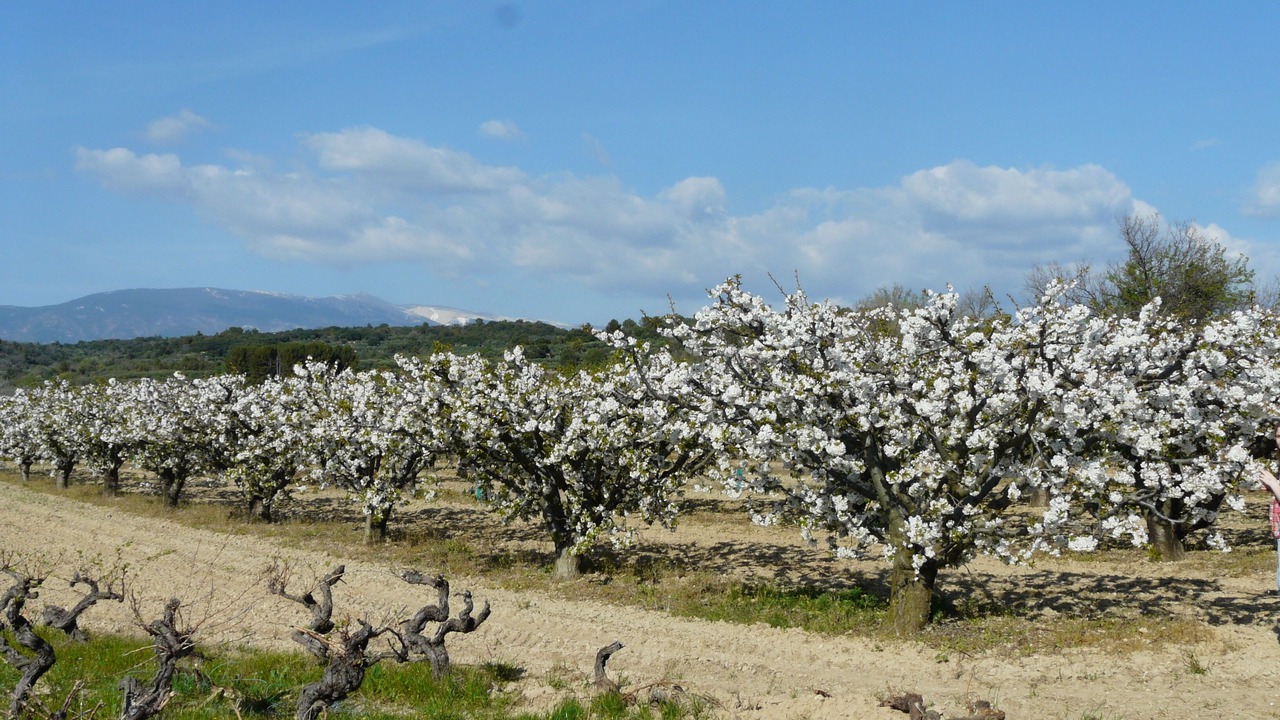 Photo of Outdoor in Mormoiron
