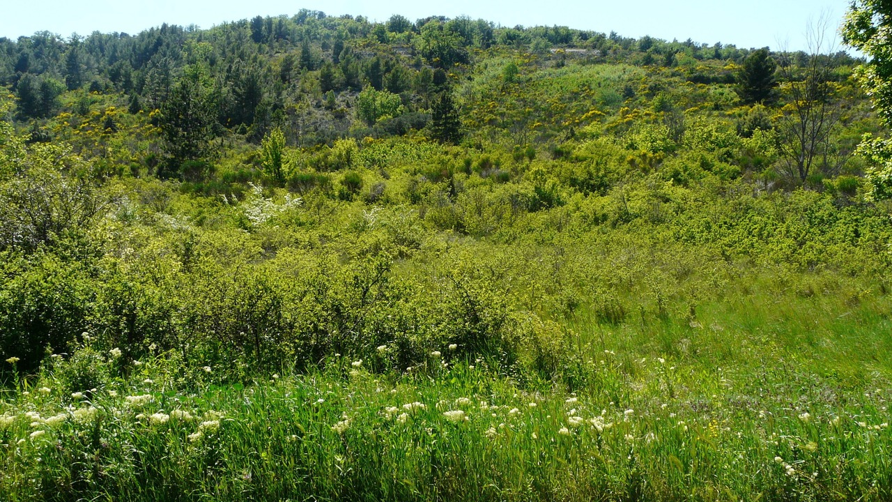 Photo of Outdoor in Mormoiron