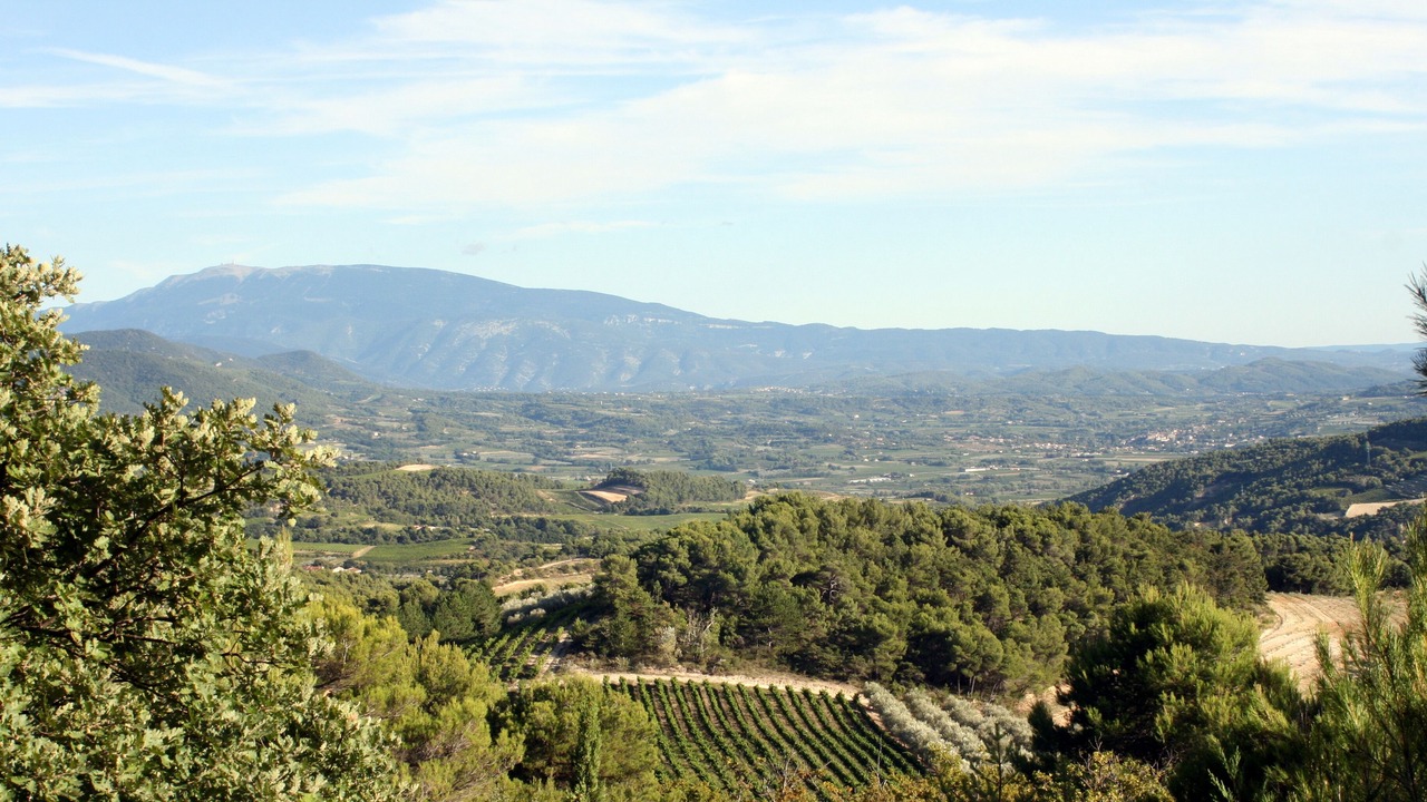 Photo of Others in Venterol