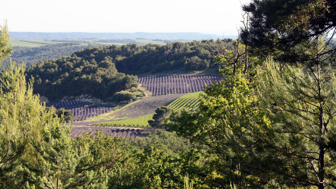 Photo of Outdoor in Venterol